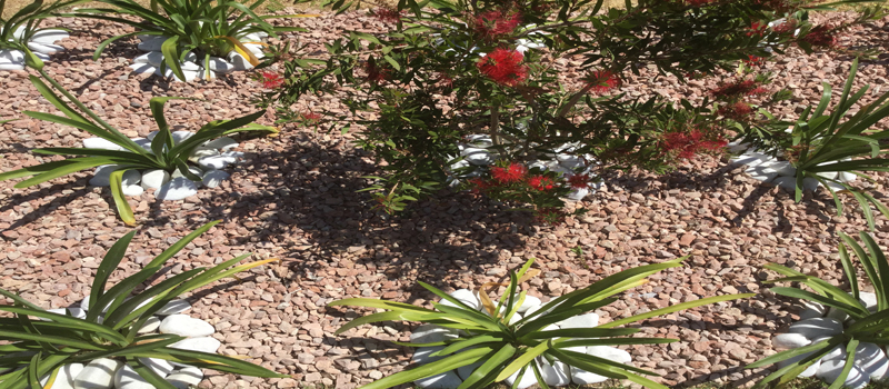 detalle jardin dise&ntilde;o el runar